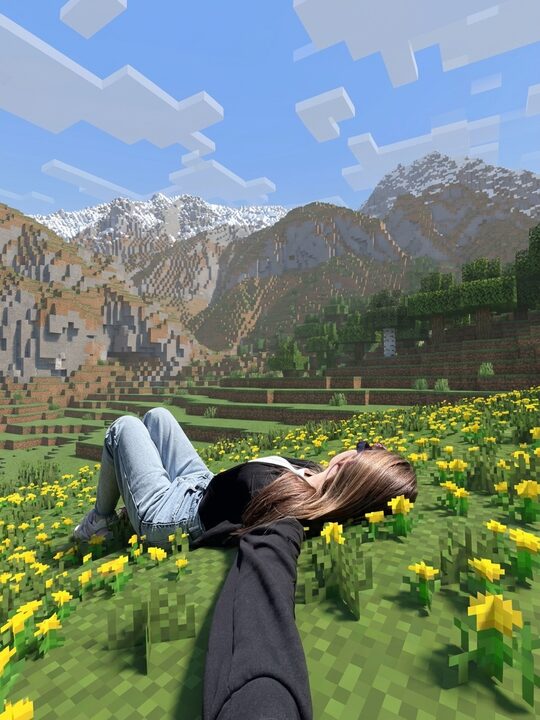 Мир Minecraft